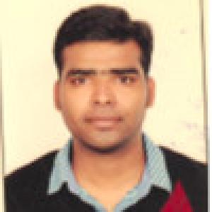 raghu raja akula | SAP Consultant - freelancer on Worksome | Worksome